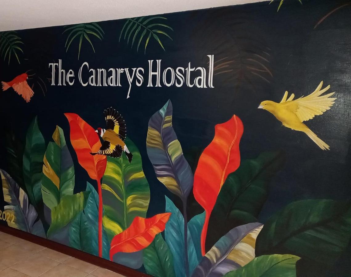 The Canarys Hostal Санта-Роса-де-Кабаль Екстер'єр фото